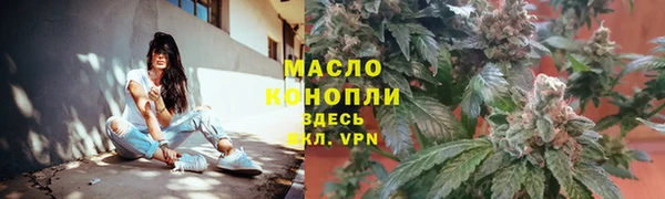 таблы Бородино