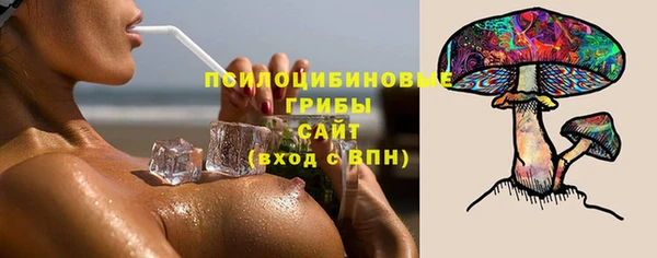 таблы Бородино