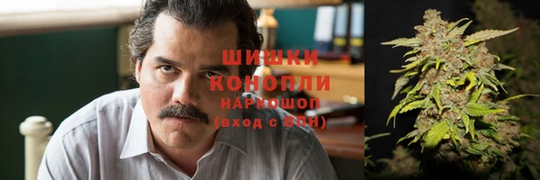 таблы Бородино