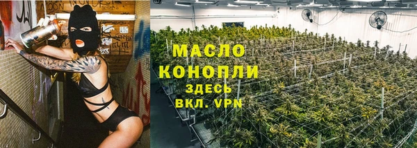 таблы Бородино