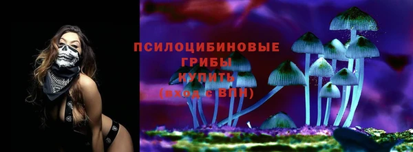 соль ск Бугульма