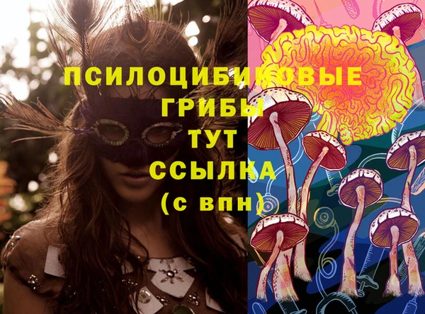 соль ск Бугульма