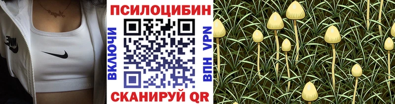 Галлюциногенные грибы MAGIC MUSHROOMS  мориарти клад  Буинск 